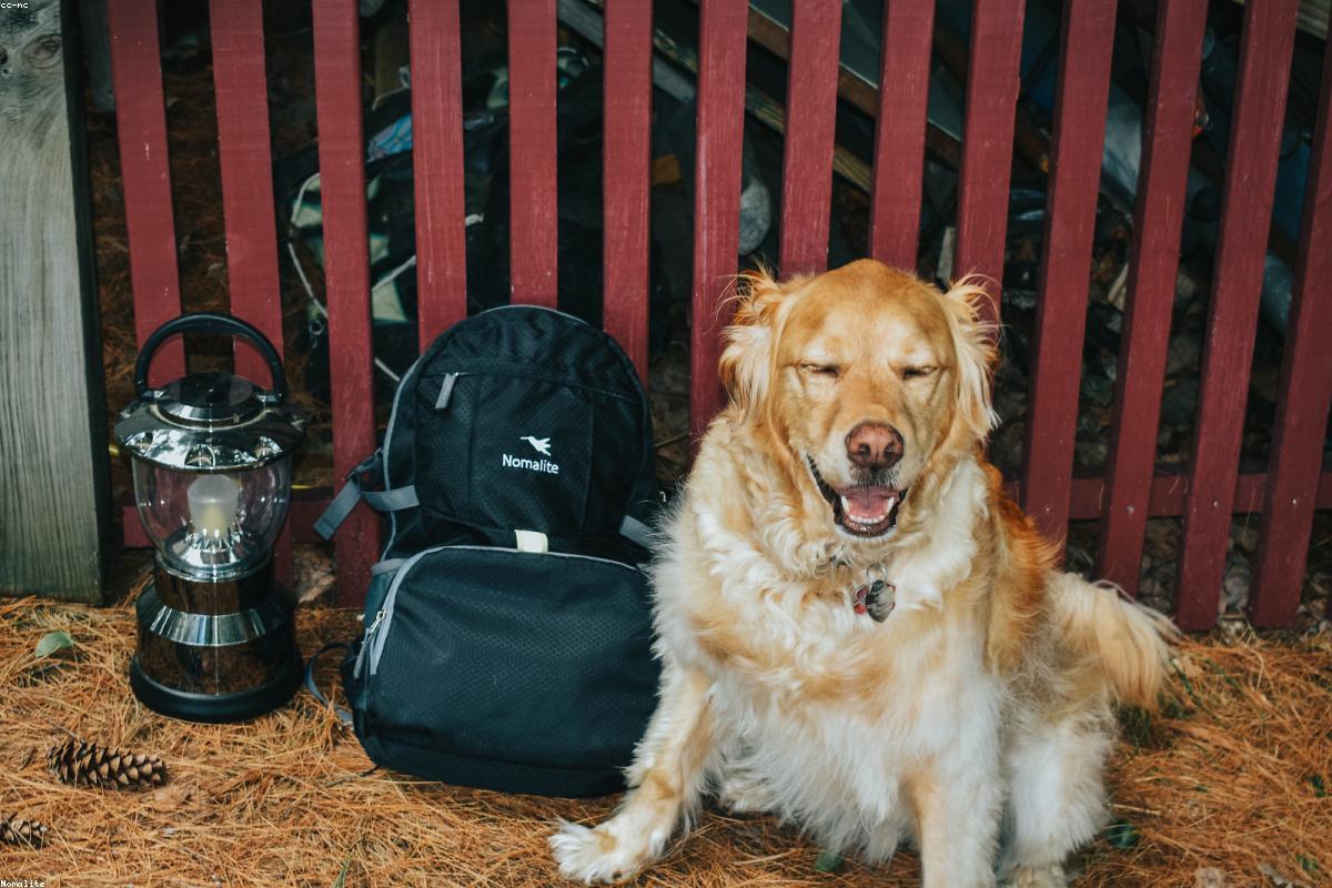 Imagen ilustrativa - Venecia, la belleza que se sostiene en el agua