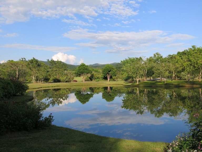 Selva de Xishuangbanna