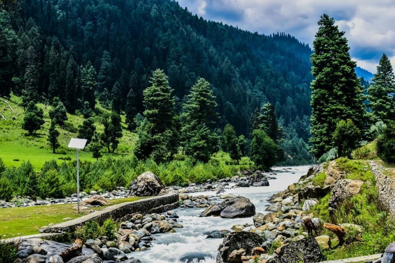 Valle de Pahalgam y río Lidder, praderas y bosques en Jammu y Cachemira