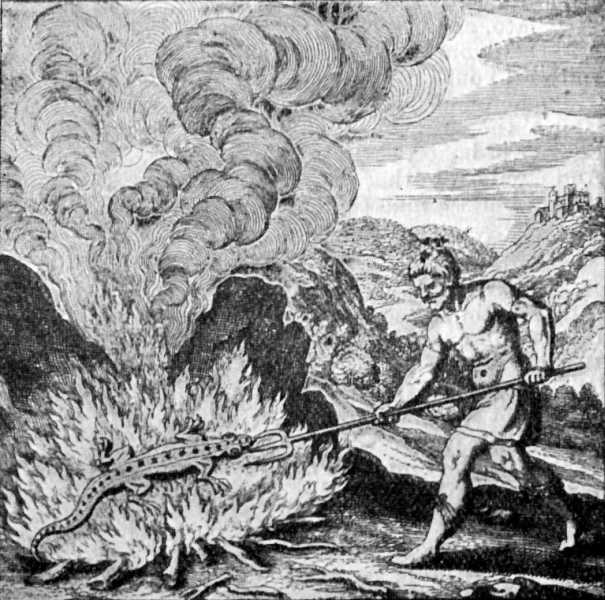 Salamandras del fuego