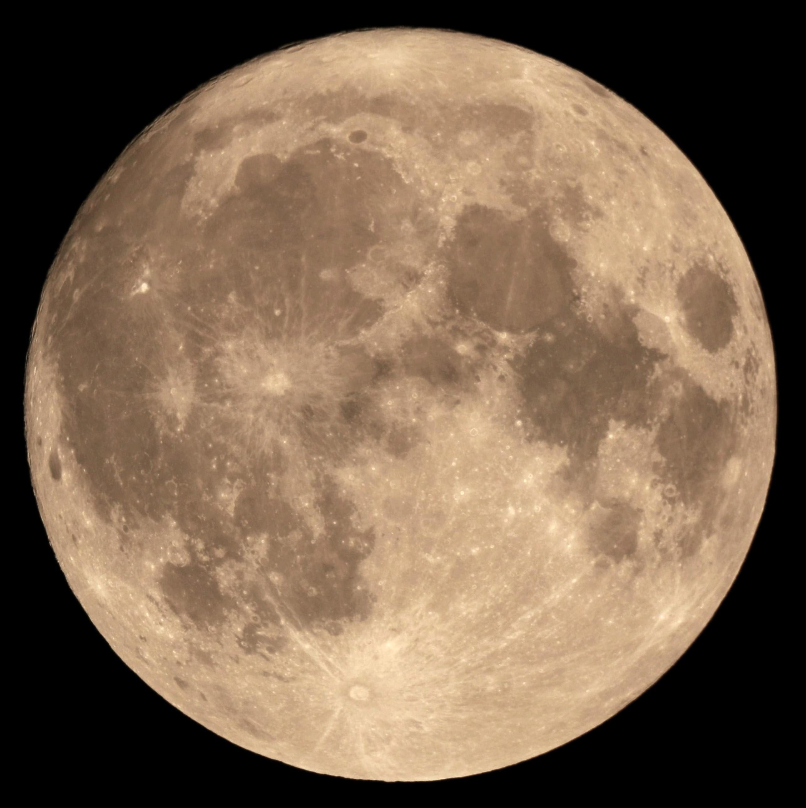 Ciervos de luna