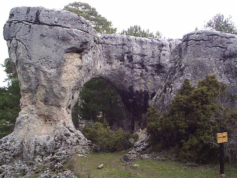Jabalíes encantados