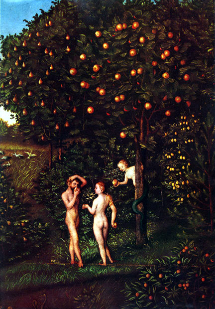 Dragones de los árboles