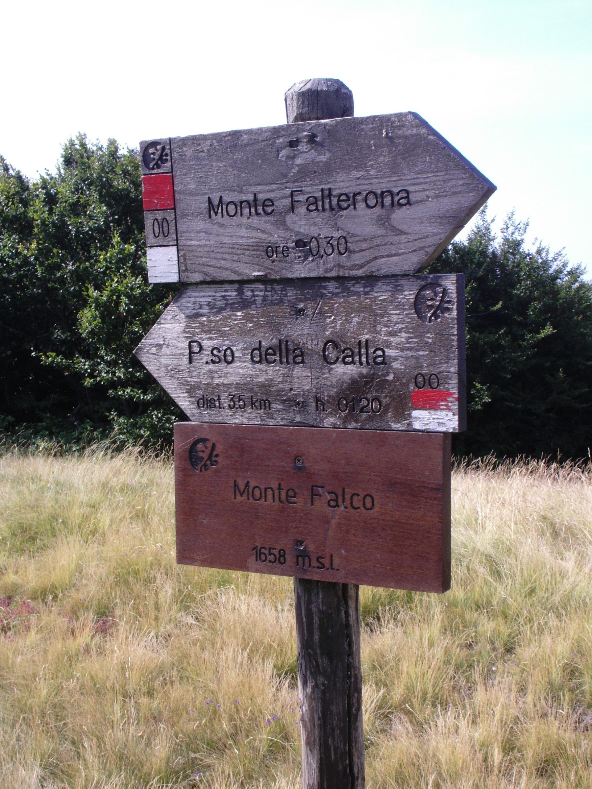 Paso de Futa