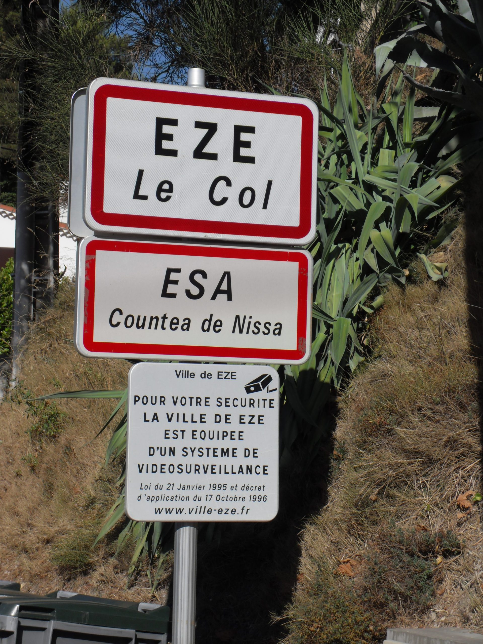Paso de Col